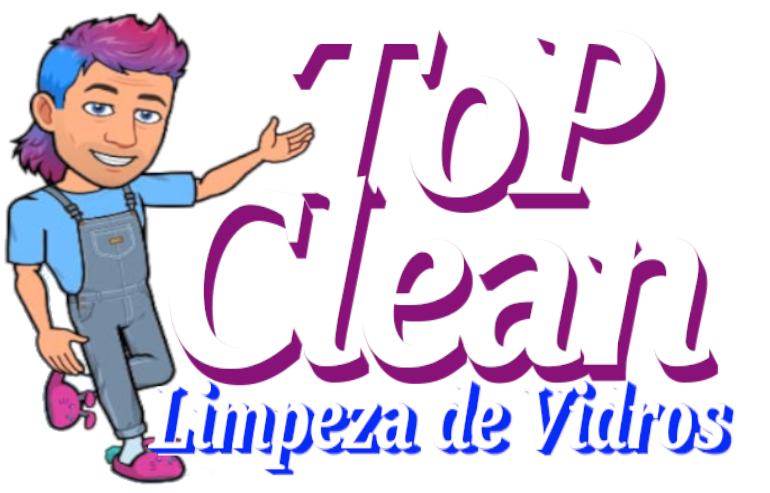 Top Clean Logo